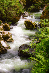 河流流经 Breitachklamm 峡谷