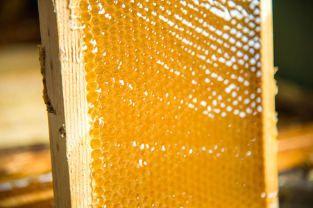 未完成新鲜的蜂蜜，在放置在一个框架的蜂巢