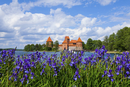 trakai 岛屿城堡