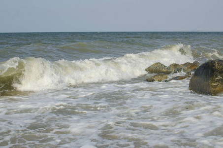 海大在海边岩石上