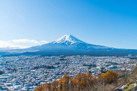 在河口湖山富士 San