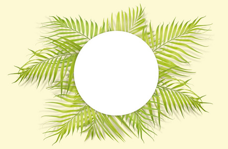 在黄色背景上，热带棕榈叶用白纸。迷你