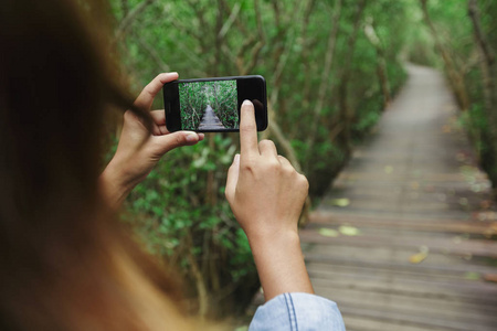 使用手机拍照在红树林小径