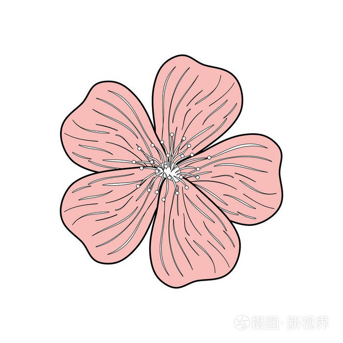美丽的花符号图标矢量图平面设计