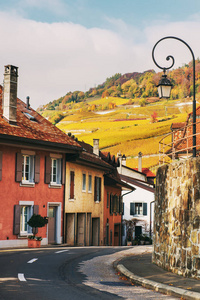 瑞士中世纪村庄圣Saphorin，拉沃葡萄园的小街道
