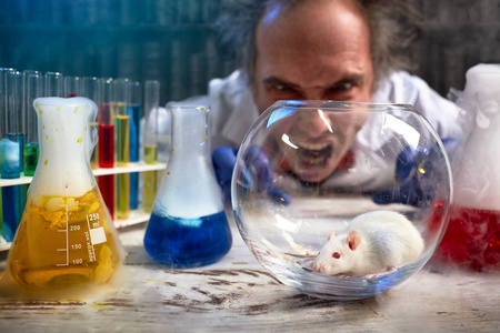 疯狂的科学家在实验室小鼠上大喊照片