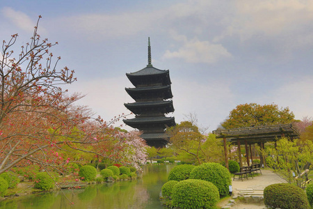 在一天时间在春天，京都，日本点燃河津圣殿