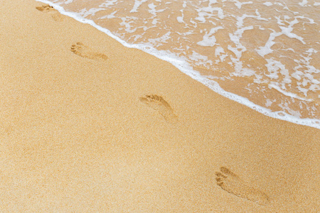 在湿的沙滩上热带海滩脚印