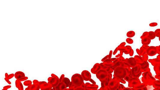 红血细胞分离在白色背景上
