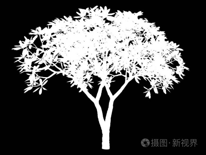 3d 渲染的黑色背景上的白色抽象树
