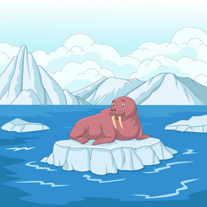 浮冰上的卡通海象图片