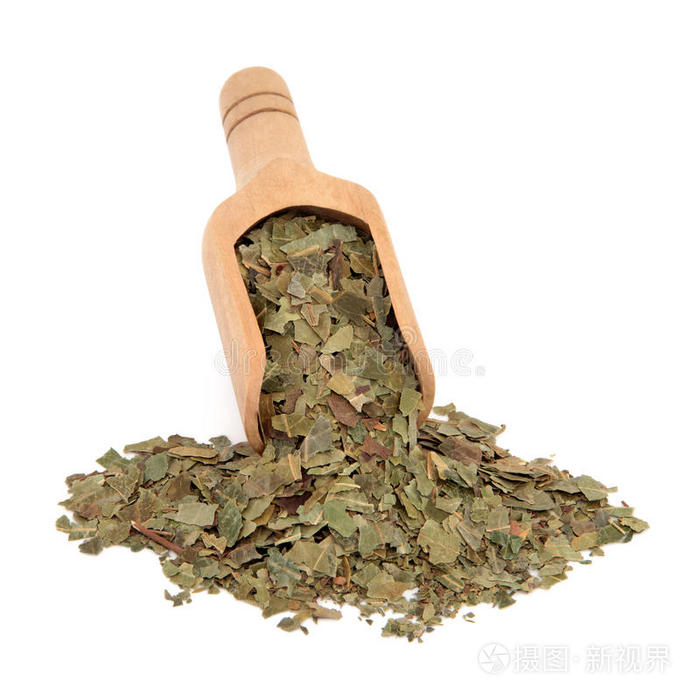 嫩枝用作草药牙刷鱼腥草栀子中国大黄根草碗里的香草和香料[医]龙胆