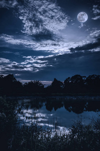 天空乌云与满月以上的树木和宁静的湖剪影