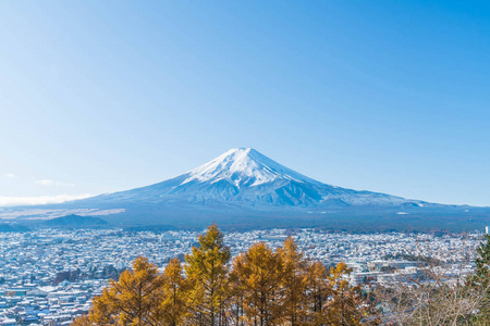 在河口湖山富士 San