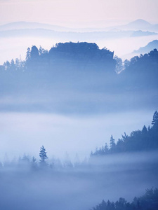 梦幻般的景观在浓雾中丢失了。梦幻般的早晨发光的温柔阳光，雾谷