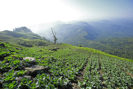 路径在富 Tubberk，在泰国碧差汶省旅游地标山景