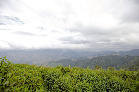 清晨的群山笼罩在南的 Kha 国家公园, Thailandview 在 Kha 国家公园的顶山, 富 Wae, 南省, 泰国, 