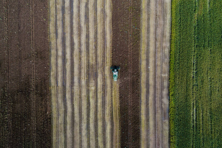 联合收割机收获作物绿色的田野 玉米旁边的字段中。乌克兰。鸟瞰图