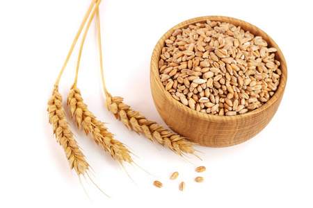小麦穗和小麦籽粒中孤立的白色背景上一个木碗