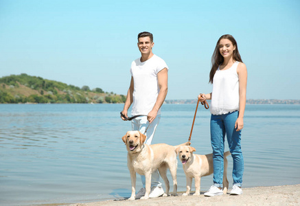 年轻夫妇河边散步黄色猎犬