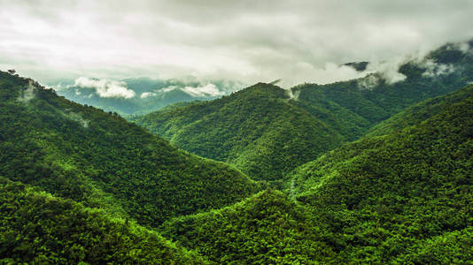 森林和山鸟瞰图