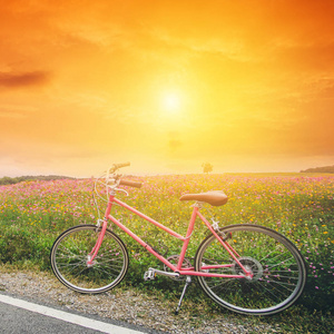 日落的粉红色自行车美丽的景观形象