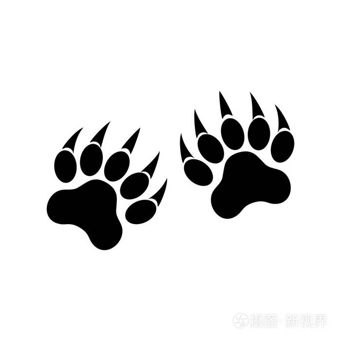 爪子的动物爪子老虎爪