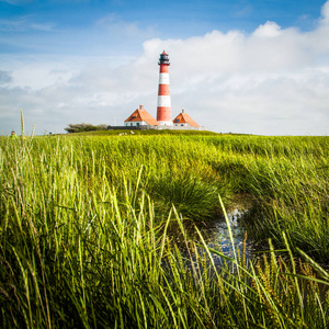 德国 Nordfriesland, 石勒苏益格黑白花牛的北海背景下的小池塘和灯塔美景