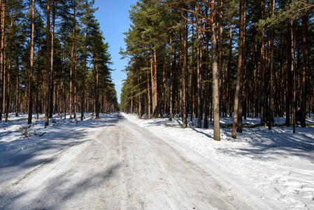 白雪覆盖的雪冬路