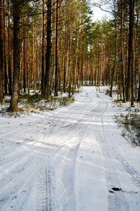 白雪覆盖的雪冬路