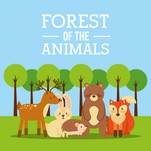 动物森林