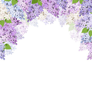 紫色 粉色 蓝色和白色的淡紫色花的矢量背景