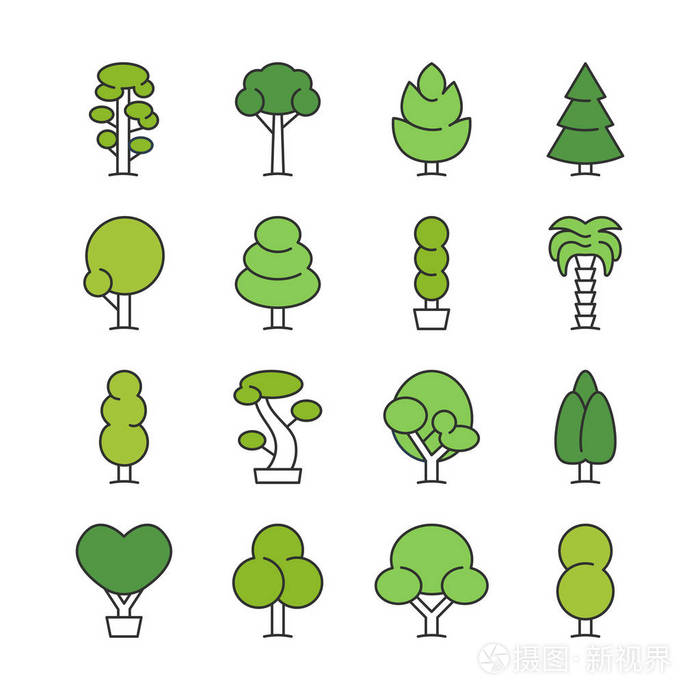 本发明罗汉松采用自然式造型