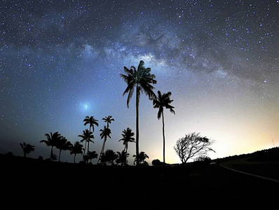 银河和一些椰子树