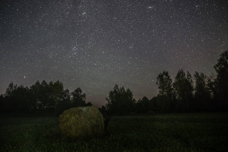 星光夜的森林空地上的干草