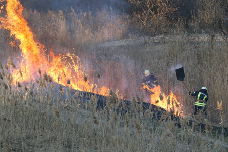 消防队员在春季与野火搏斗。火灾后的烟雾场和消防员