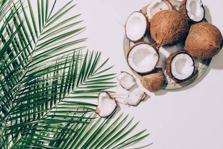 顶级美食有机椰子和绿色棕榈叶白色