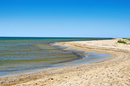 海浪冲刷清洁海滩贝壳做成。野生的海滩上的景观。在夏天海