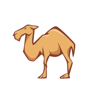 骆驼的平面样式例证。良好的徽标