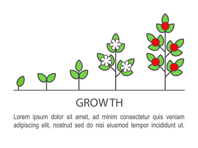 植物生长过程图表。增长概念线艺术图标