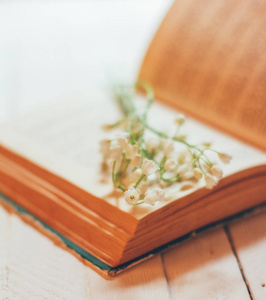百合花在一个白色的老式桌子上的一个开放的旧书, 浅景深的山谷花朵