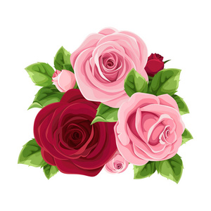 在白色背景上孤立的粉红色和勃艮第玫瑰