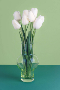 绿色背景花瓶中的白色郁金香