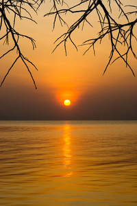 太阳在日落天空在湖与剪影分支