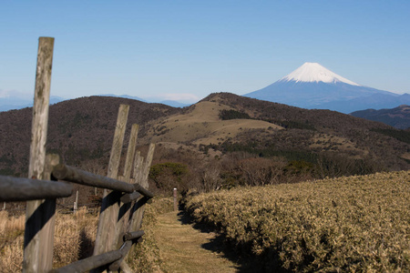 与高的山在冬季在静冈县伊豆市富士山的视图