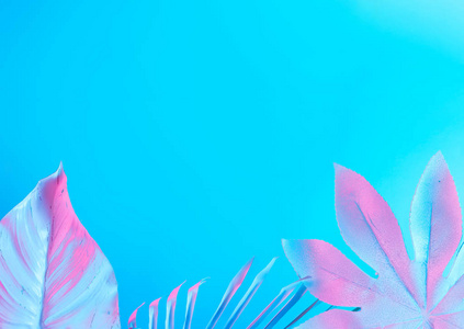 最小超现实主义夏季背景与热带和棕榈叶在充满活力的大胆梯度全息霓虹灯色彩, 概念艺术
