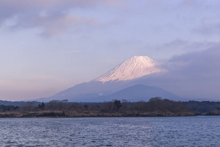 在春天的季节里山富士和 Shojiko 湖