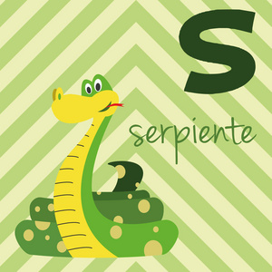 可爱的卡通动物园插图字母与有趣的动物。西班牙字母 S 为 Serpiente。学会阅读。孤立向量插图