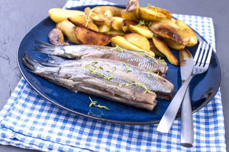 在盘子上的鲱鱼鱼片, 在烤箱里烤土豆。荷兰美味的传统食品。蓝色盘子上的荷兰美食。复制空间
