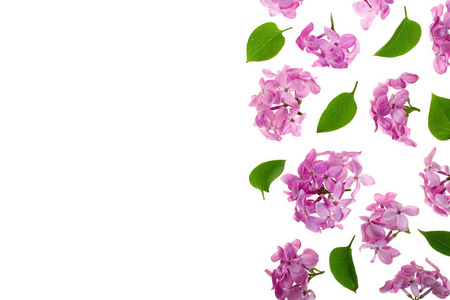 淡紫色的花朵, 树枝和叶子在白色背景上被隔绝, 用复制的空间为你的文本。平躺。顶部视图